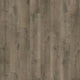 Oyster Oak