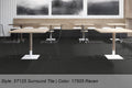 Shaw Carpet Tile - Raven 2