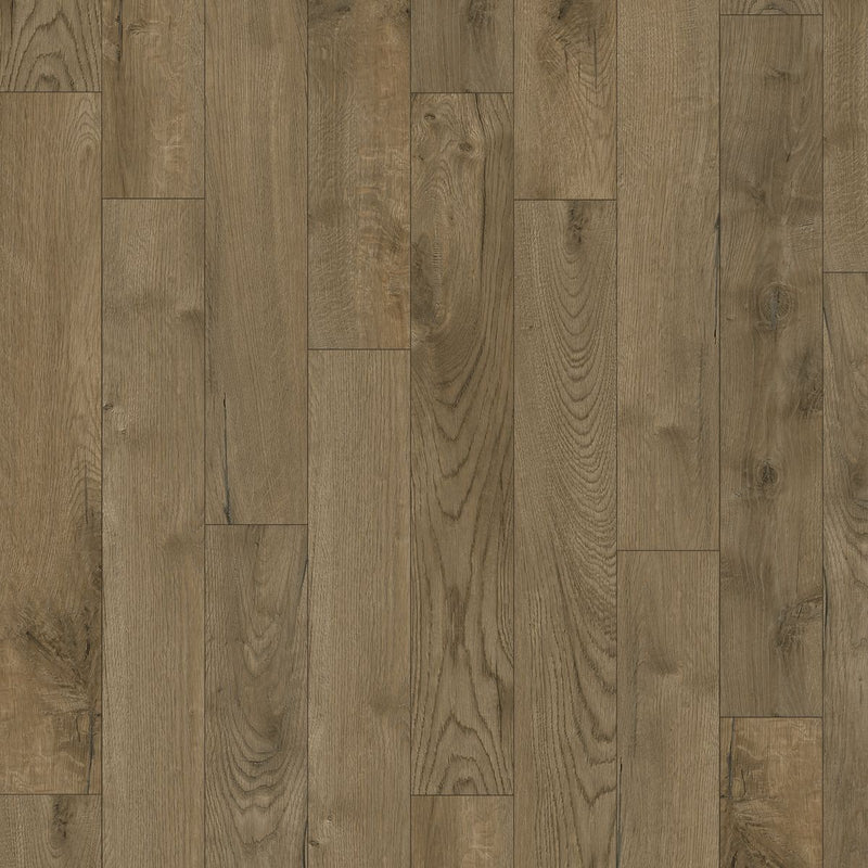 Karastan Cultivated Wood in Morel — plank swatch